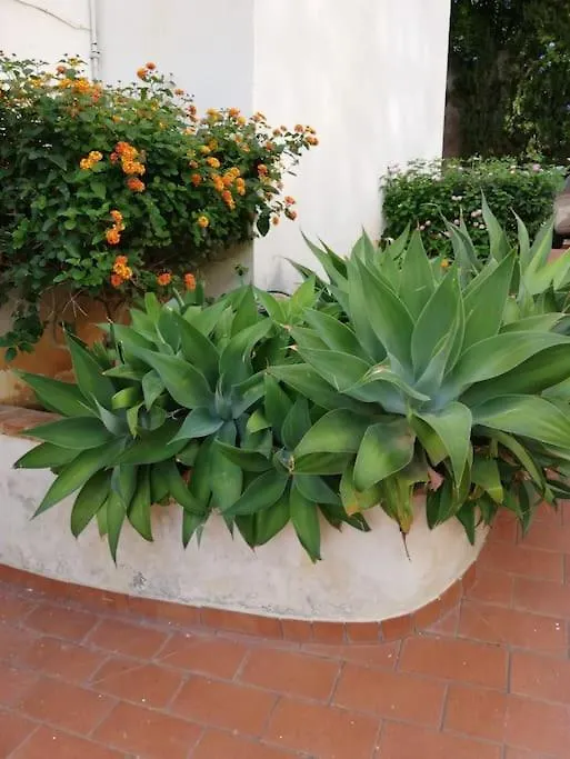 Villa Archibianchi Mondello Palermo Holiday home